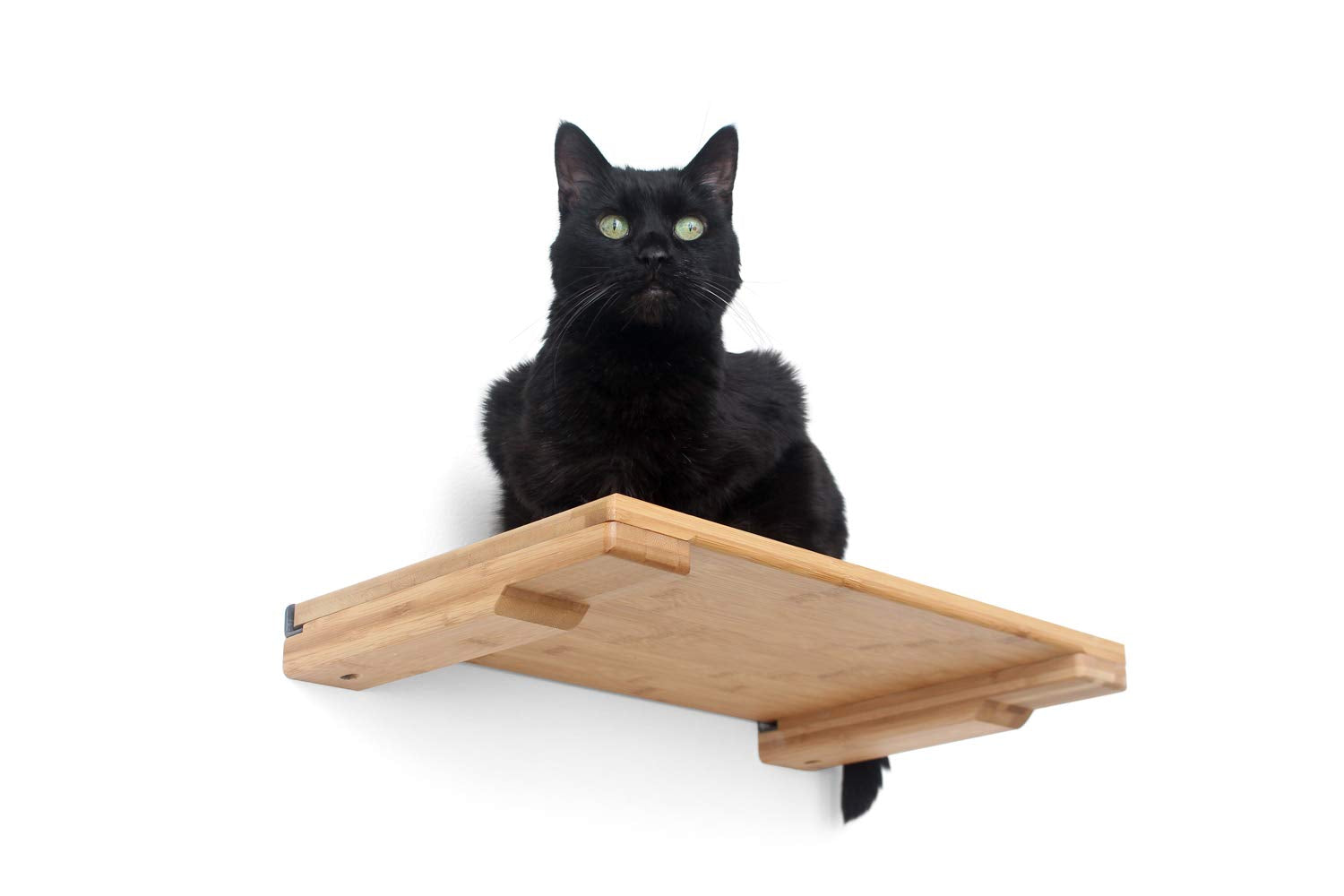 Catastrophicreations Cat 18'' Shelf Handcrafted Elevated Wall, Natural Bamboo, One Size